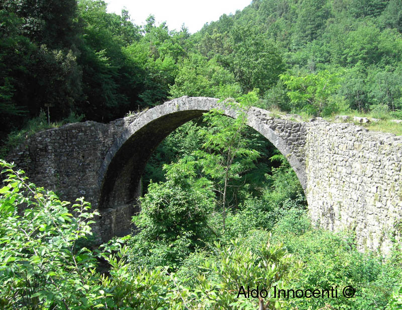 PONTE DELLA PIA DE' TOLOMEI: 1' IMMAGINE